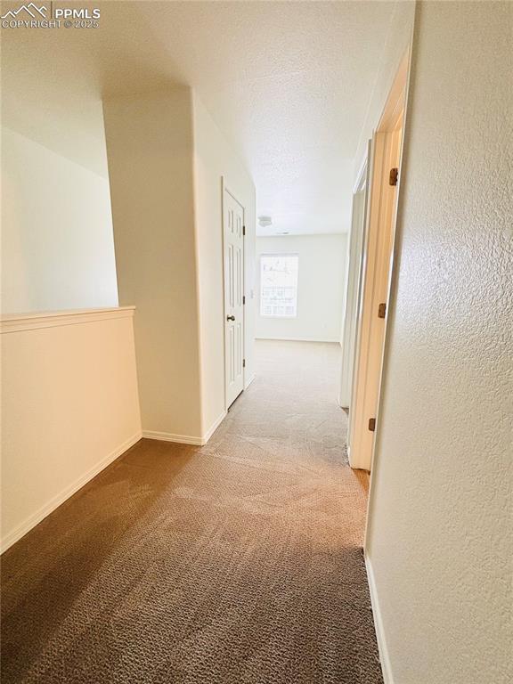 Image 20 of 24: Other