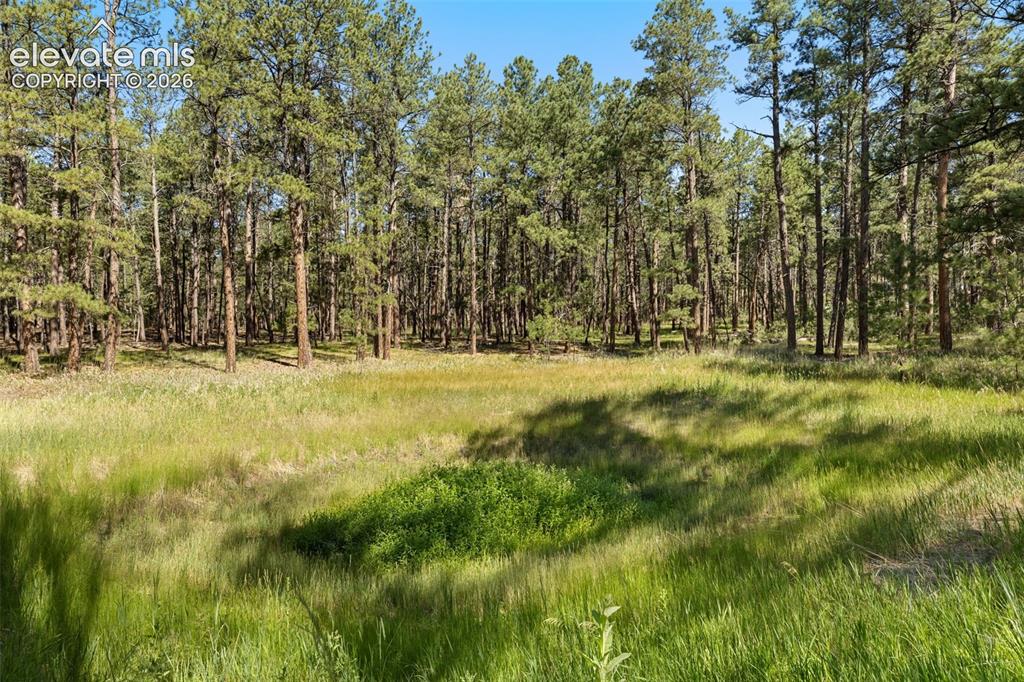 Image 11 of 21: Old pond bed area. 