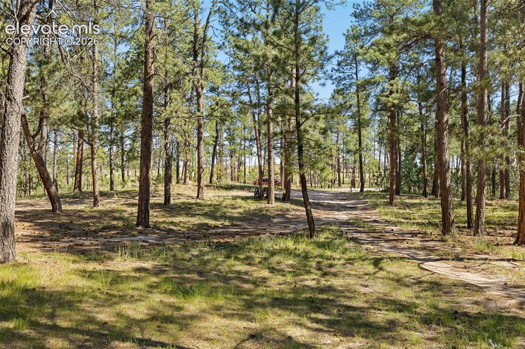 Image 14 of 21: View out to driveway front. 