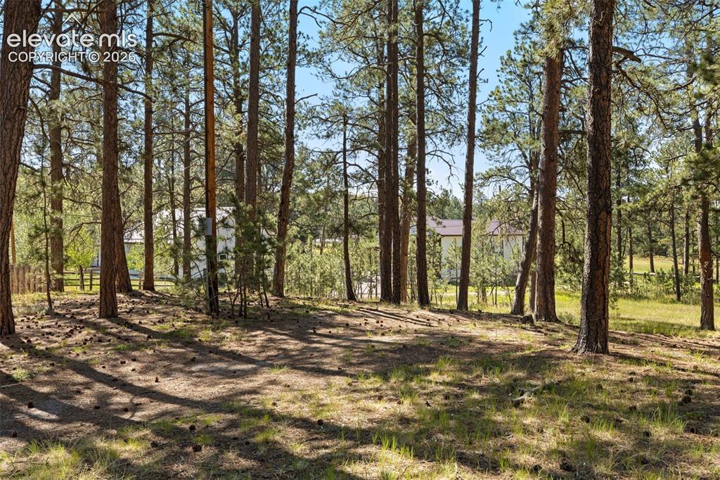 Image 15 of 21: View of lot.