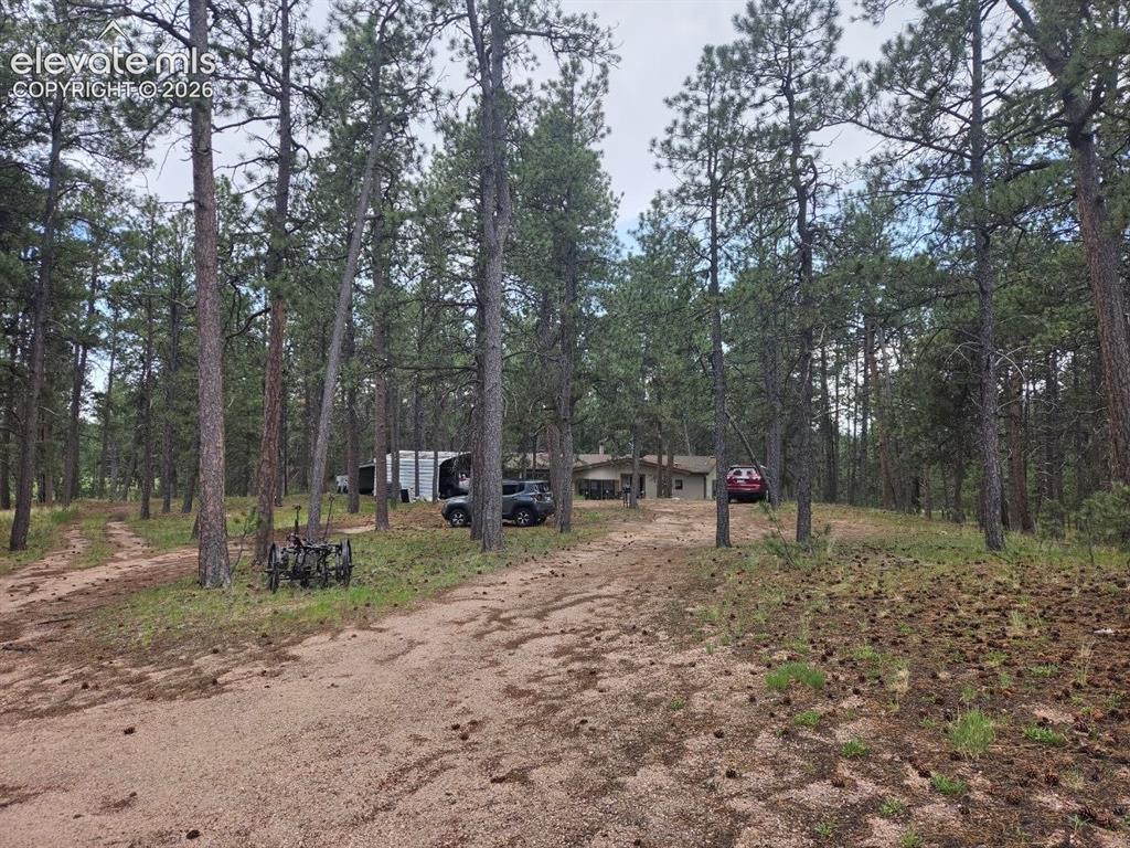 Image 2 of 4: Driveway.