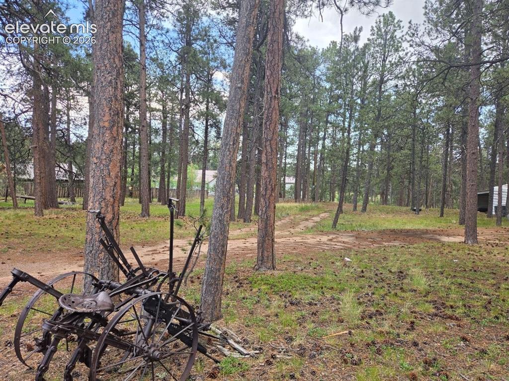 Image 3 of 4: Lot to the east of the home. 