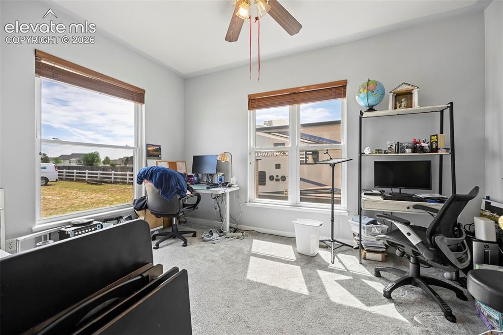 Image 19 of 37: Carpeted room with light gray walls, two large windows with horizontal blin