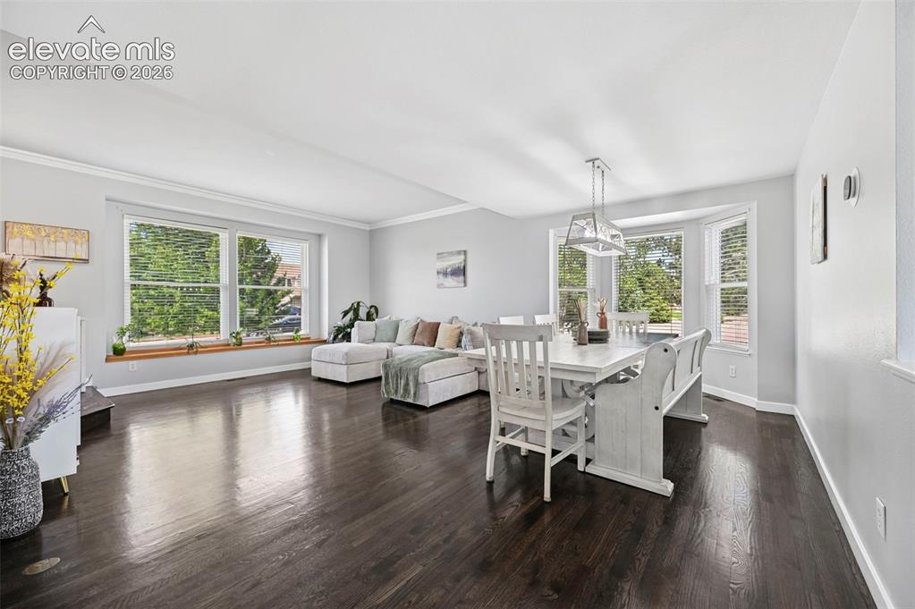 Image 24 of 37: Expansive main living area featuring dark wood-finish flooring, white crown