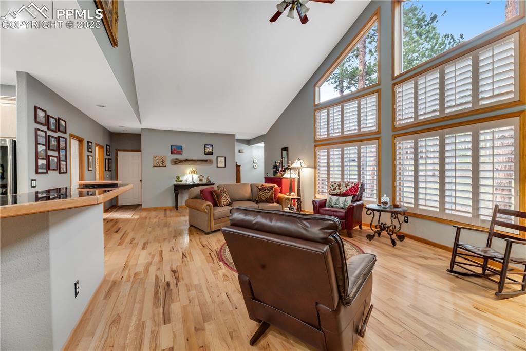 Image 4 of 45: Living Room