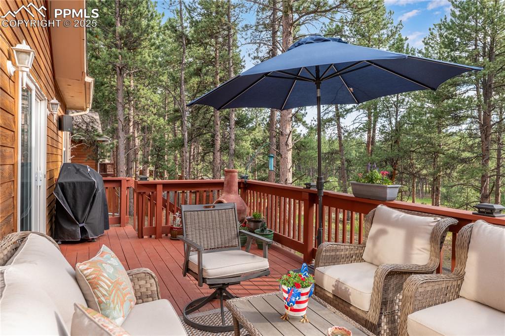 Image 42 of 45: Deck