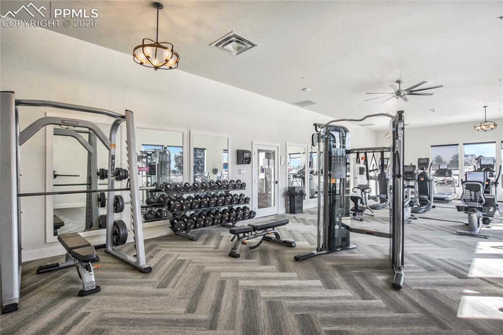 Image 47 of 50: Gym