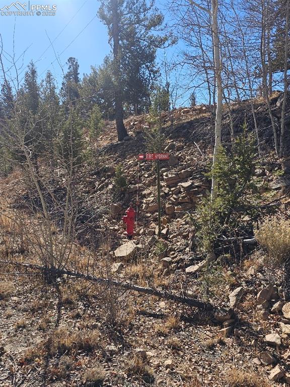 Image 10 of 20: Looking up at the main road, Fire Hydrant, Main Water Line, and electricity