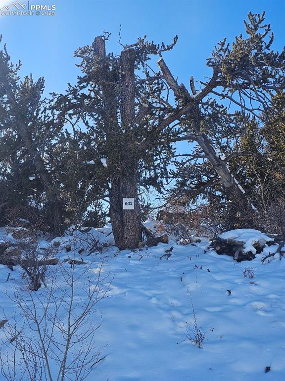 Image 14 of 20: Front of 5585 Middlefork 