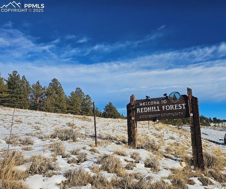 Image 18 of 20: Other