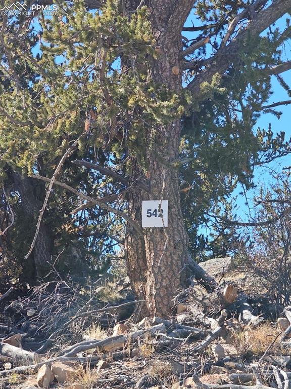 Image 3 of 20: You are home!