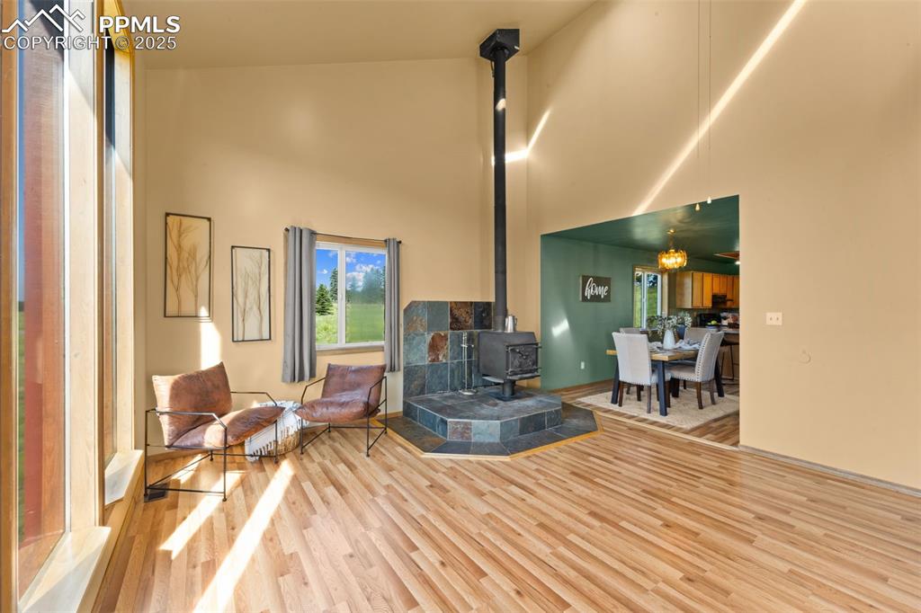 Image 13 of 49: Living Room
