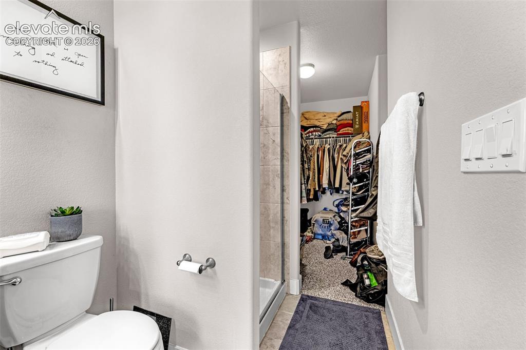 Image 25 of 37: Recessed walk-in closet with carpet flooring