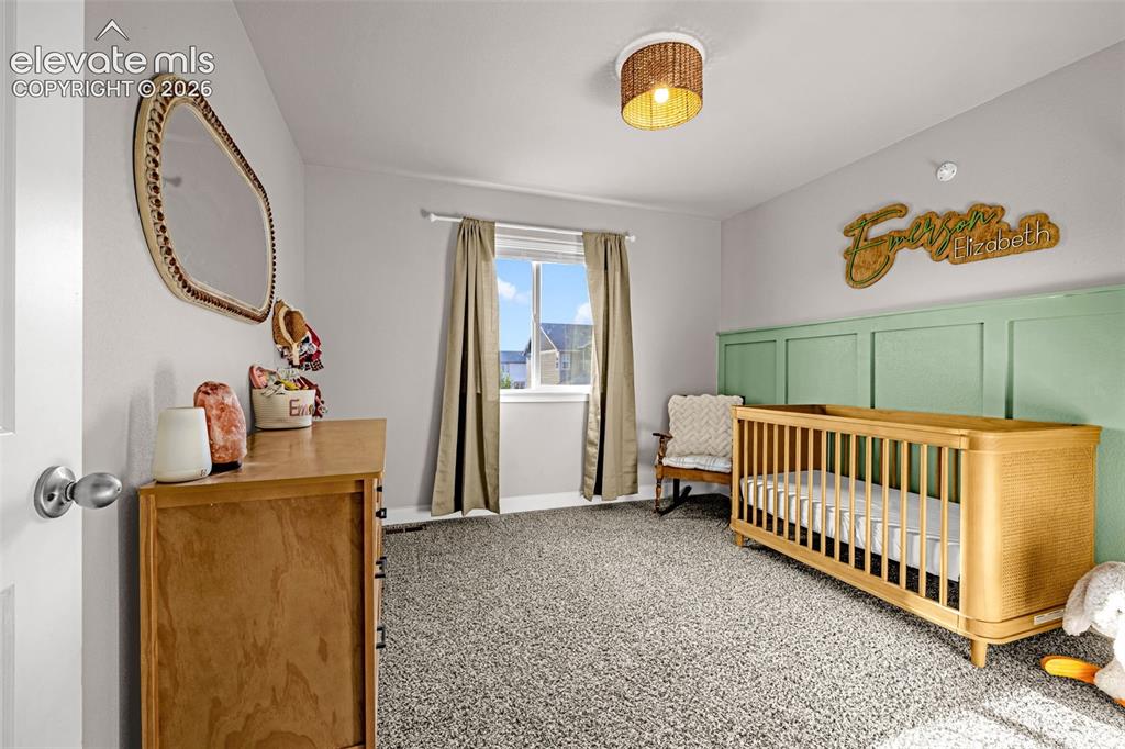 Image 27 of 37: Light-filled room featuring plush gray carpeting and a paneled accent wall