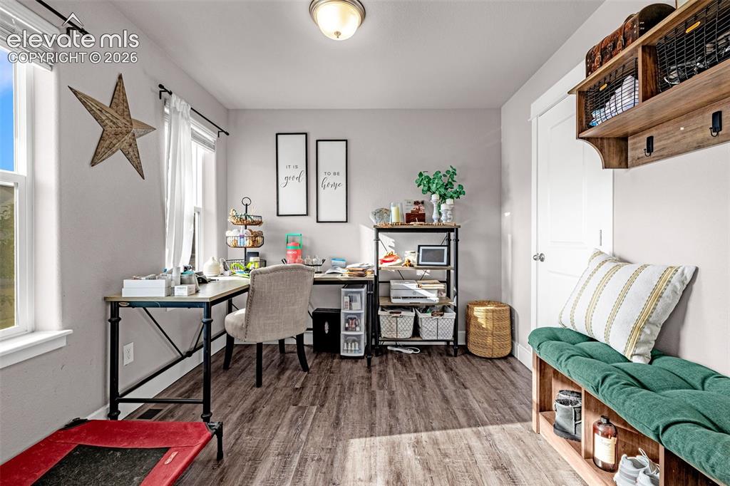 Image 3 of 37: Versatile room featuring wood-finish flooring, multiple windows with natura
