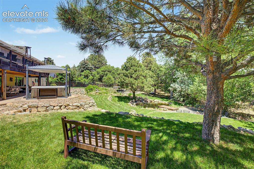 Image 42 of 50: Beneath a towering pine offers the perfect vantage point to take in the bac