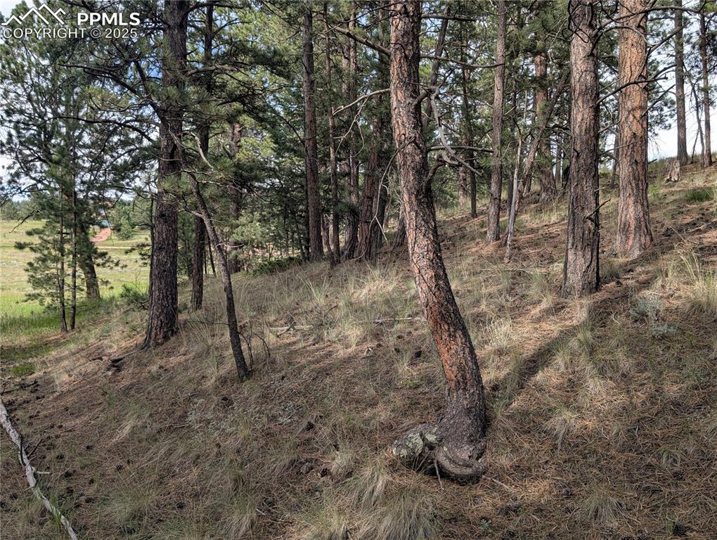 Image 11 of 30: Other