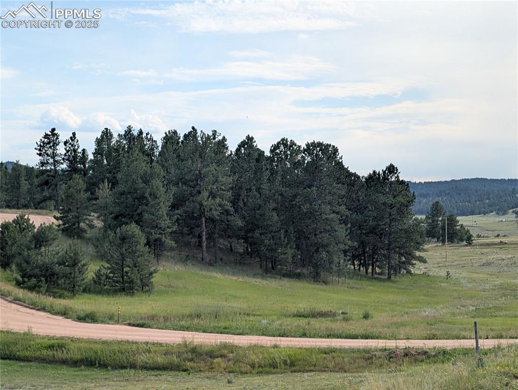 Image 31 of 35: Other