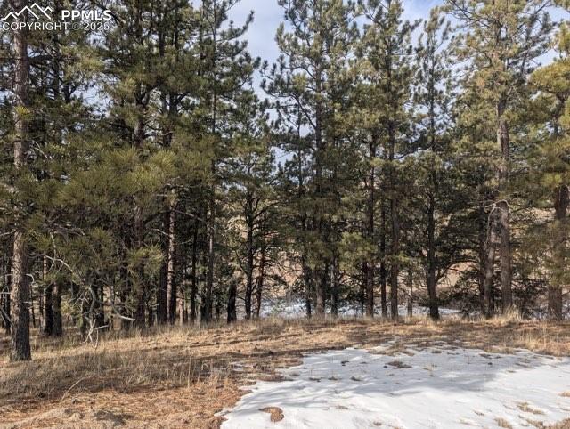 Image 32 of 35: Other