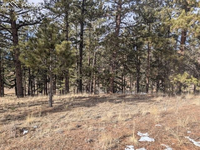 Image 34 of 35: Other