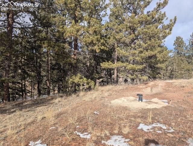 Image 35 of 35: Well Head