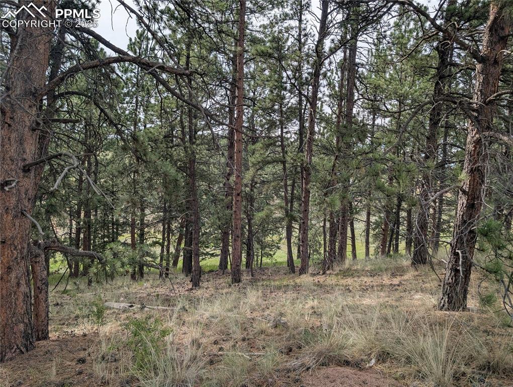 Image 6 of 30: Other