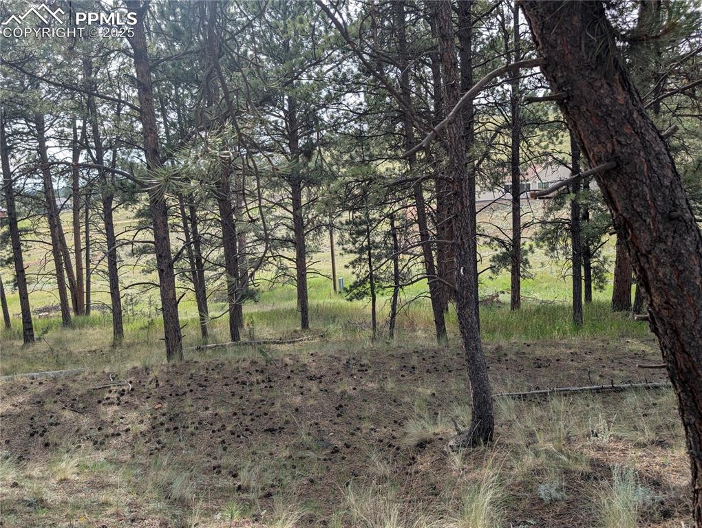 Image 7 of 30: Other