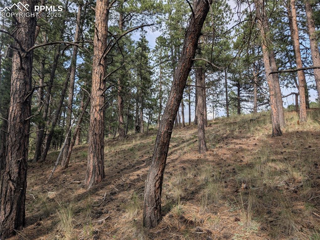 Image 8 of 30: Other
