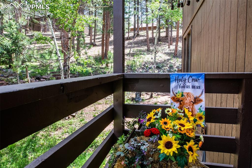 Image 3 of 30: Other