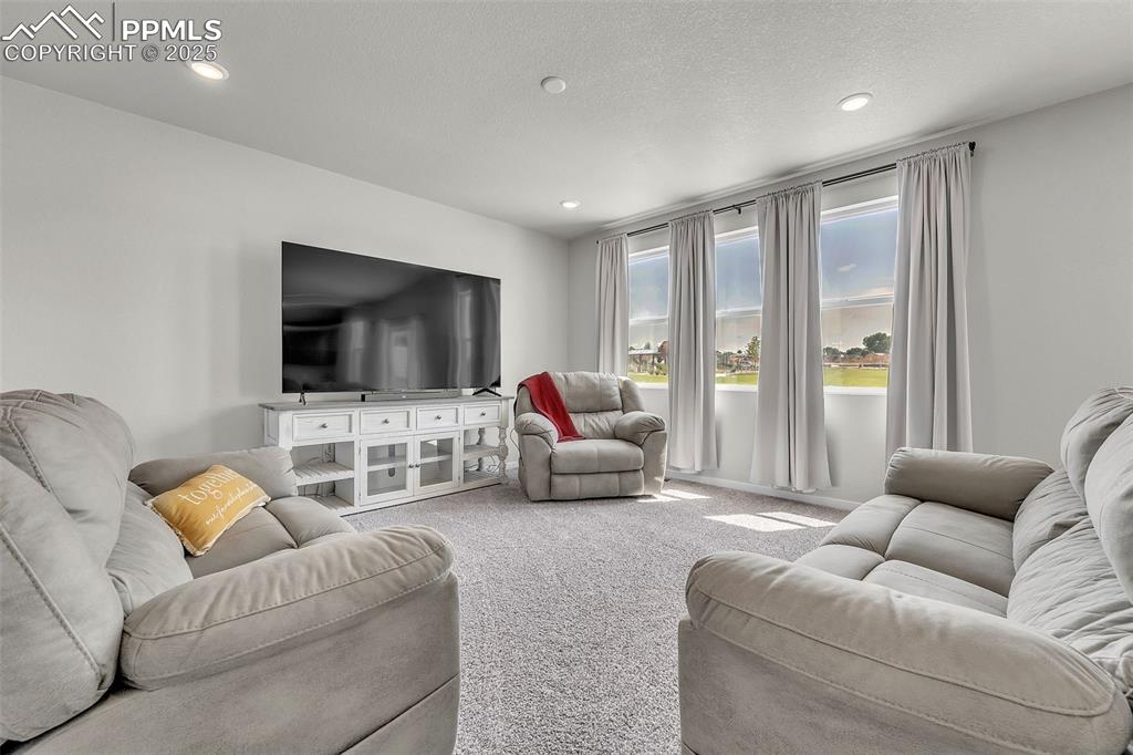 Image 12 of 50: Living room featuring carpet and recessed lighting