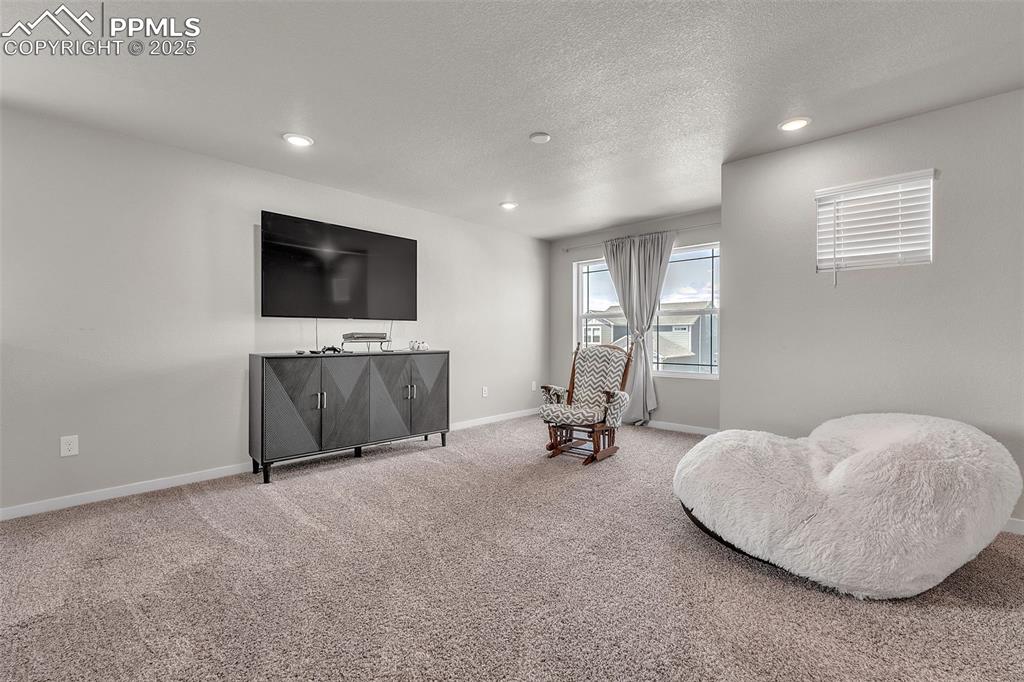Image 19 of 50: Sitting room with carpet flooring, a textured ceiling, and recessed lightin