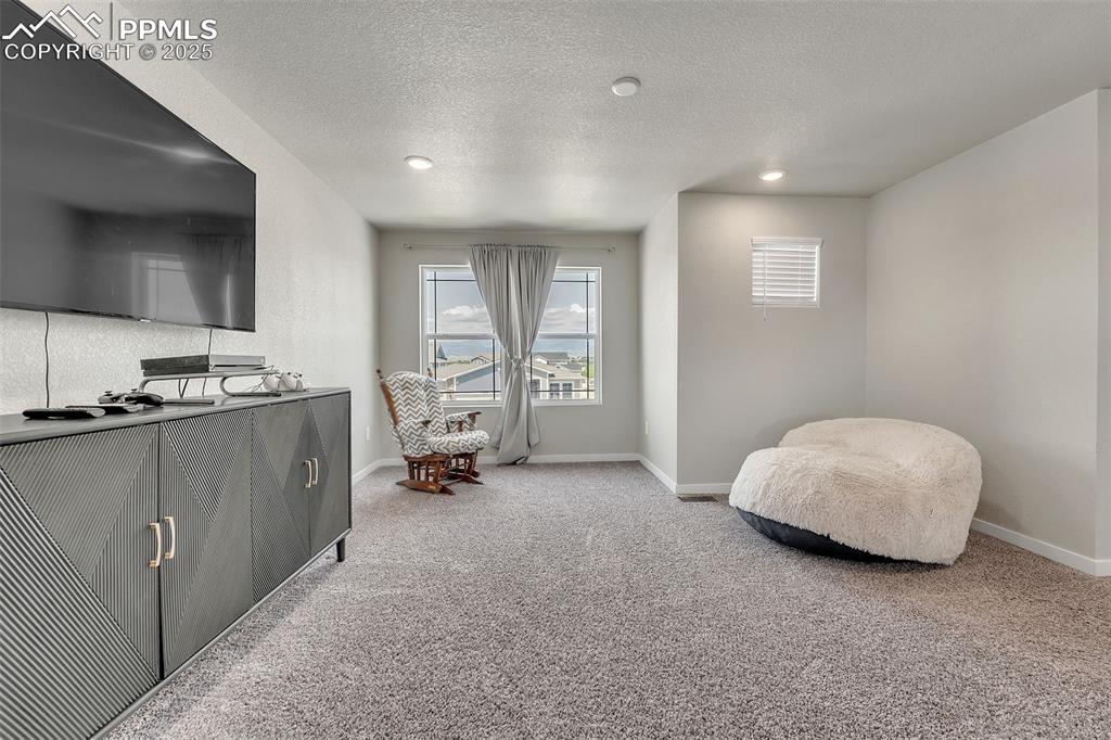Image 20 of 50: Sitting room featuring carpet flooring, a textured ceiling, and recessed li
