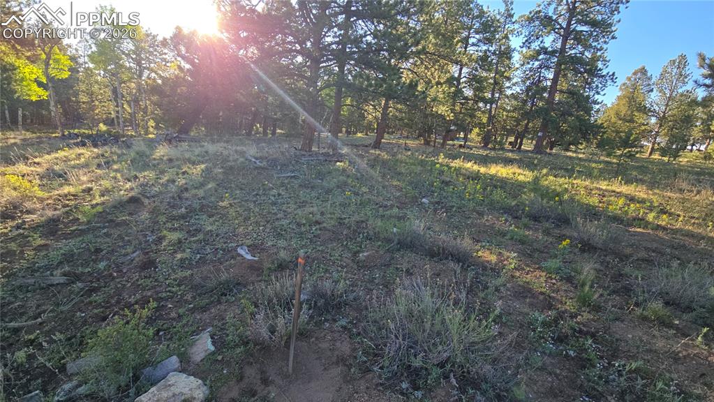 Image 13 of 17: Yard