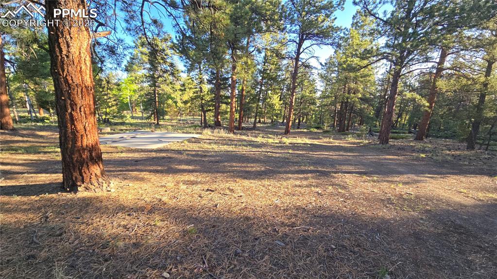 Image 17 of 17: Yard