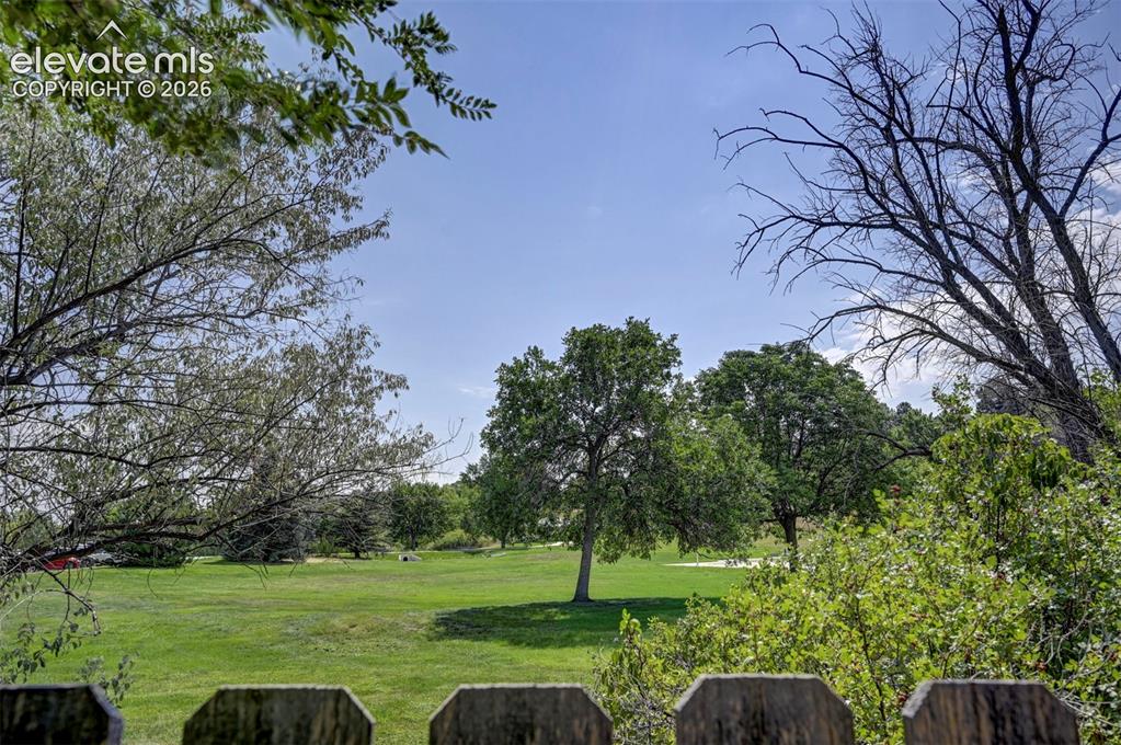 Image 44 of 49: Expansive green space featuring scattered mature trees and shrubbery, borde