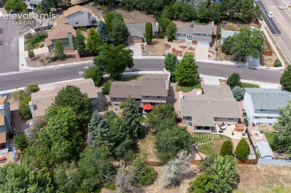Image 48 of 49: Residential neighborhood with mature trees, paved streets, and a variety of