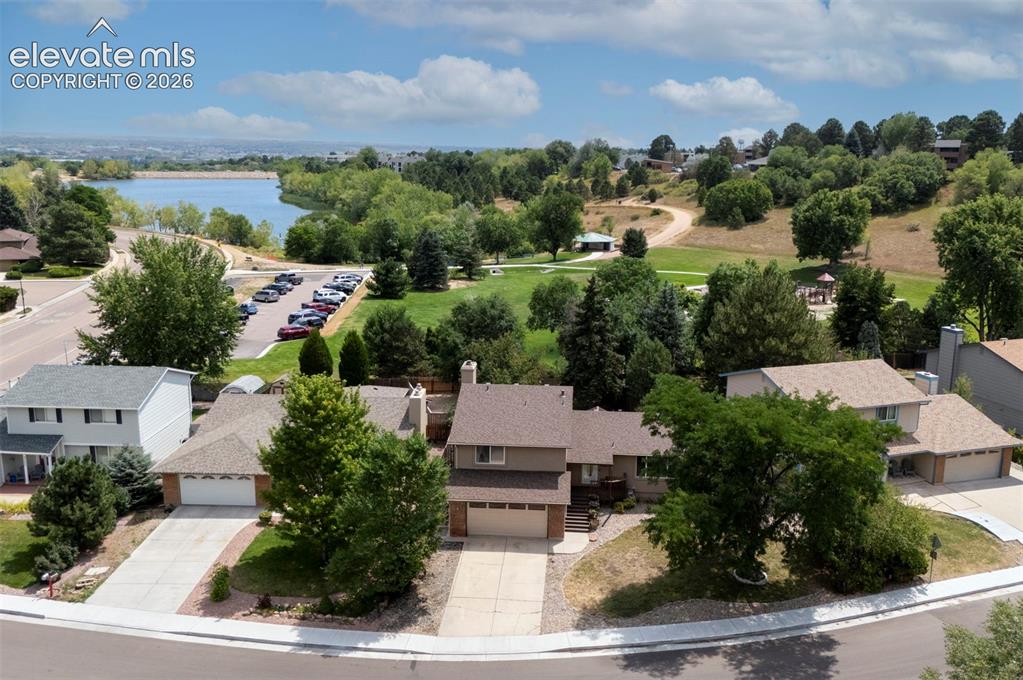 Image 5 of 49: Expansive lot with mature trees and a paved driveway