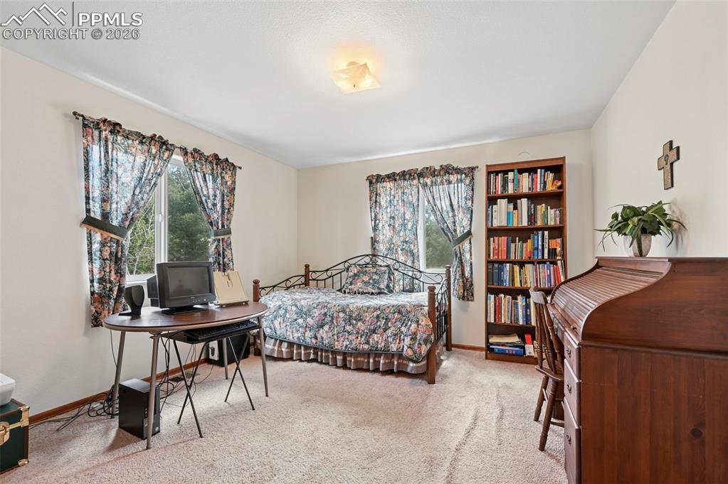 Image 13 of 25: Carpeted room featuring light-toned walls, two large windows, and a ceiling