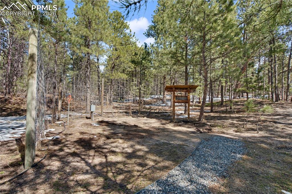 Image 41 of 50: Yard