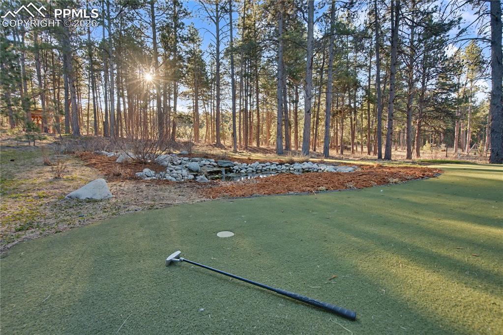 Image 46 of 50: Yard