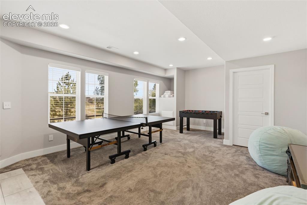 Image 31 of 41: Walk-out basement family room