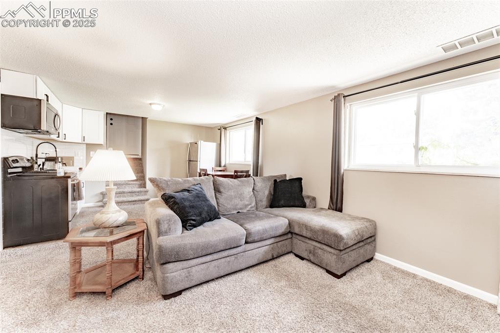 Image 29 of 39: Living room featuring carpet floors and a textured ceiling