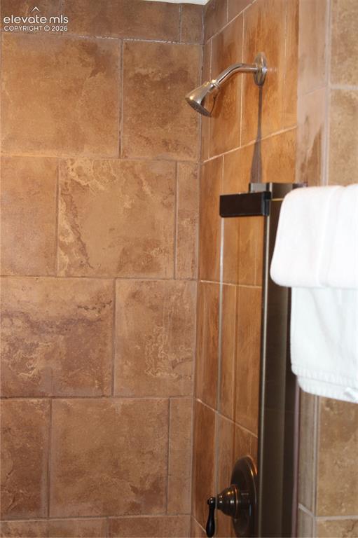Image 11 of 11: interior of shower in apt