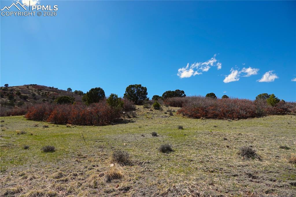 Image 11 of 34: Other