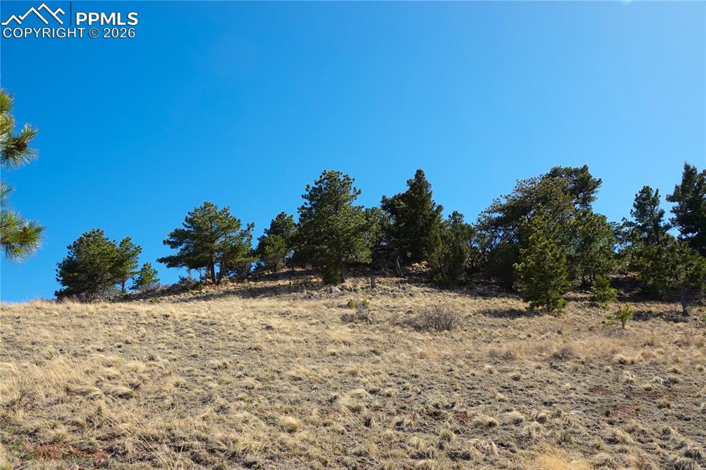 Image 14 of 34: Other