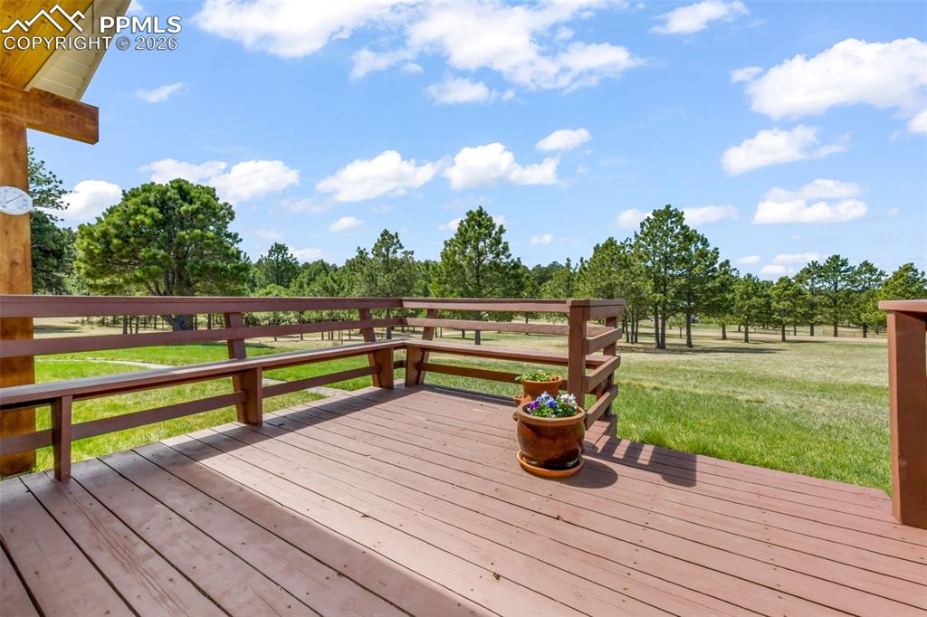 Image 32 of 50: No Description Available