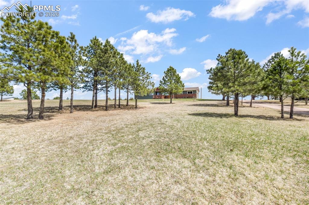 Image 39 of 50: No Description Available