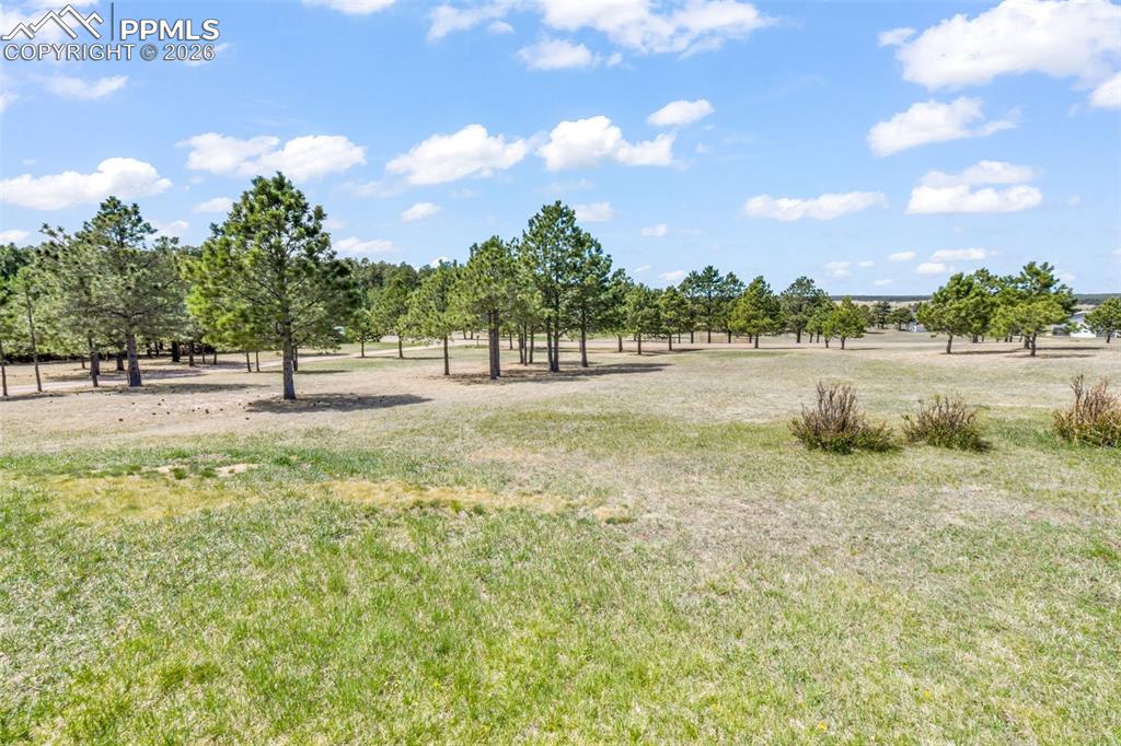 Image 40 of 50: No Description Available