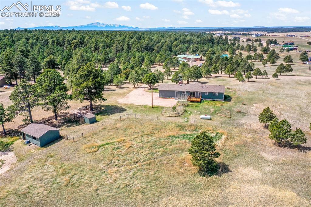 Image 45 of 50: No Description Available