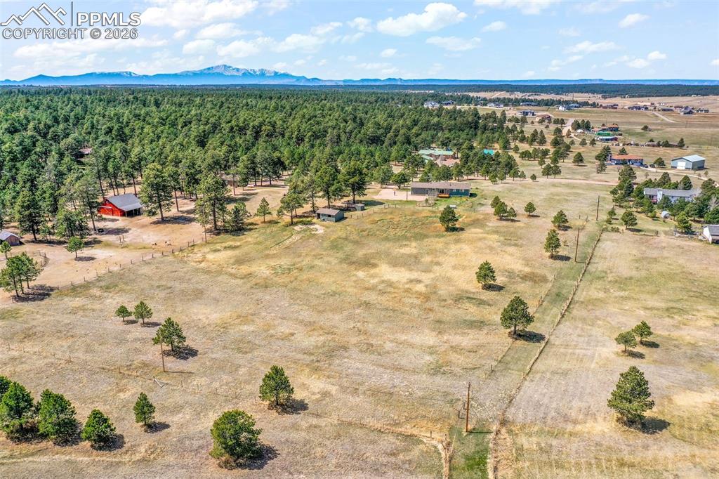 Image 46 of 50: No Description Available